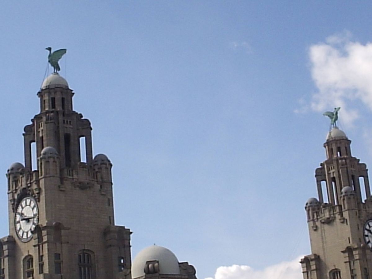 英語ゴルフ用語 – GOLFLISH 