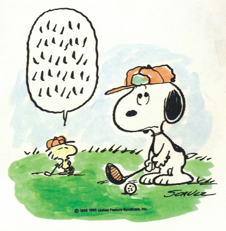 Snoopy 14