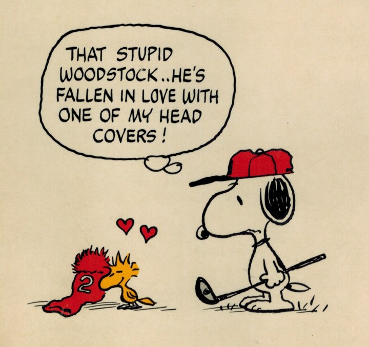 Snoopy's Grand Slam 裏表紙.jpeg