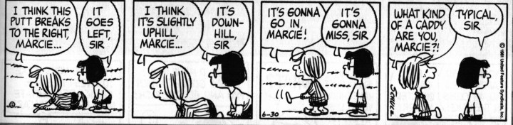 what kind of a caddie.jpeg